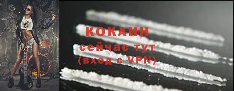 мега ТОР  Ставрополь  Cocaine Fish Scale 